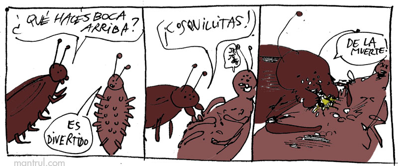 #01443 Cuquis  insectos 