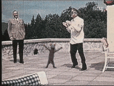 Hitlah