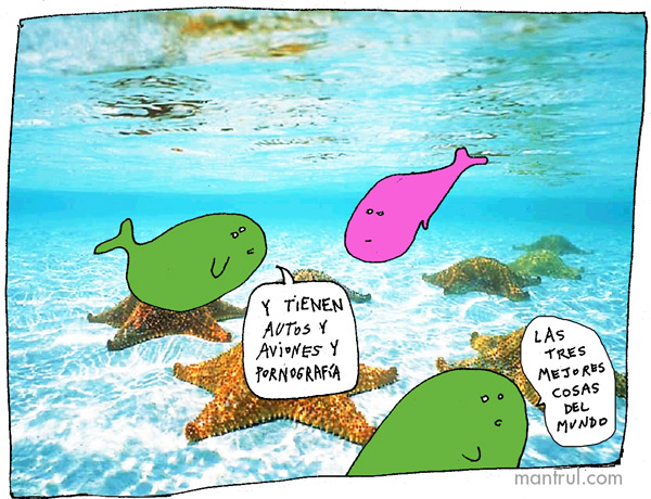 1331las3mejores
