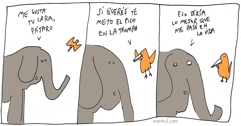 1415automaticos15