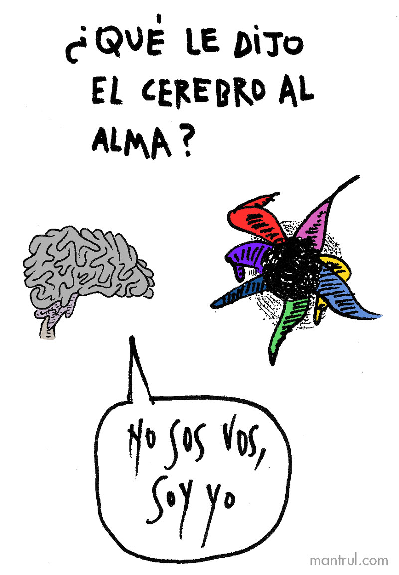 1554cerebroalma
