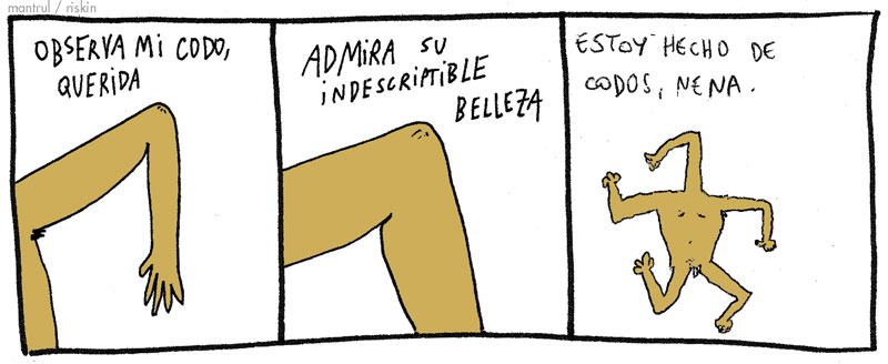 1564codo