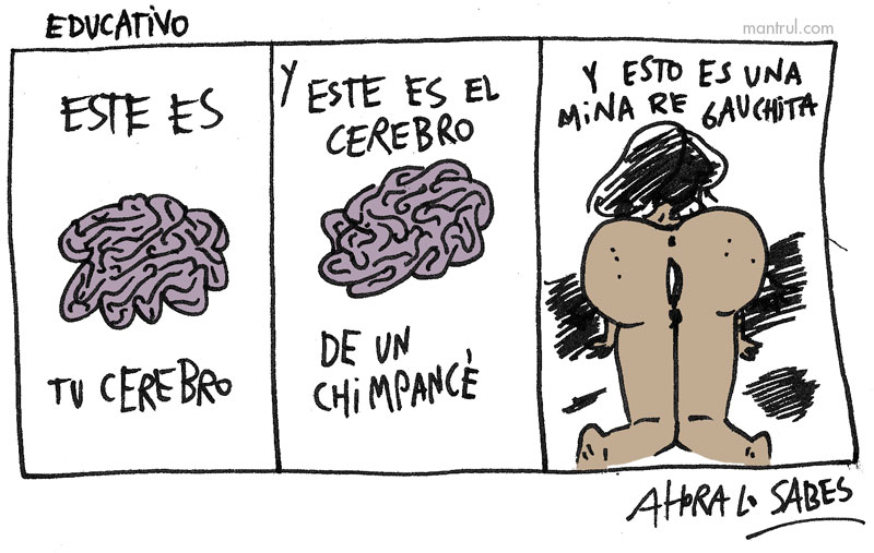 1582educativo