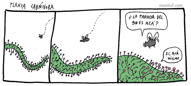 1616plantacarnivora