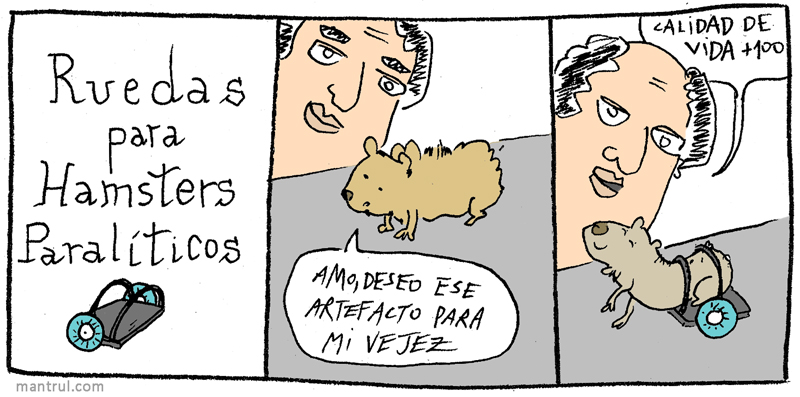 1707hamsters