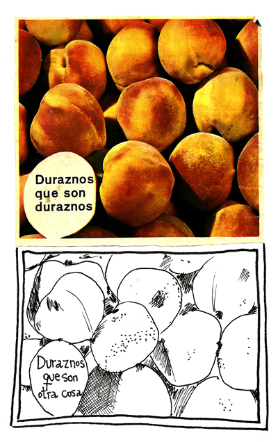 1800durazno