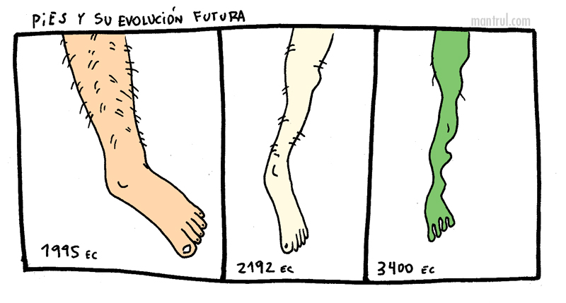 1824pies