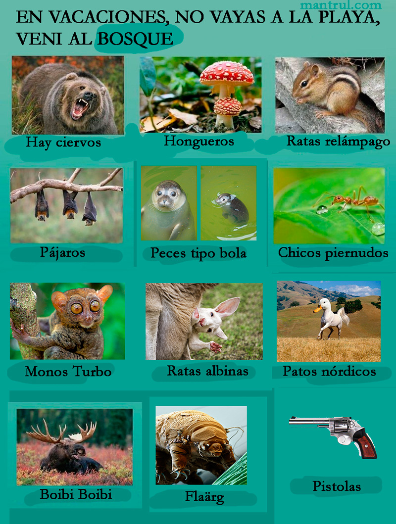 1977_bosque_web