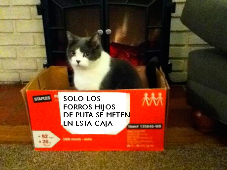 SOLOLOSFORROS