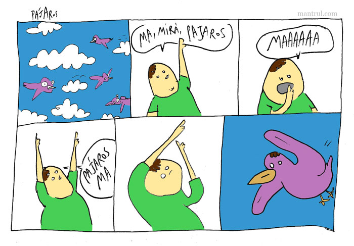 2058pajaros_web